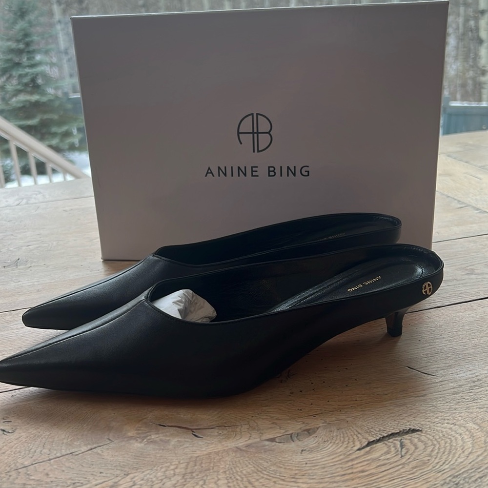 Anine Bing shoe new in box